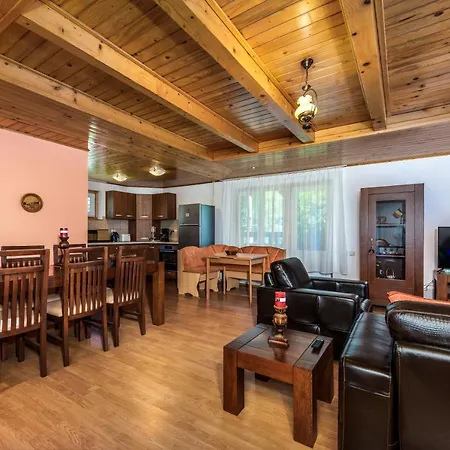 Villa Oasis Mountain Braşov