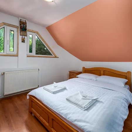 Villa Oasis Mountain Braşov