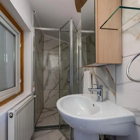 Villa Oasis Mountain Brasov