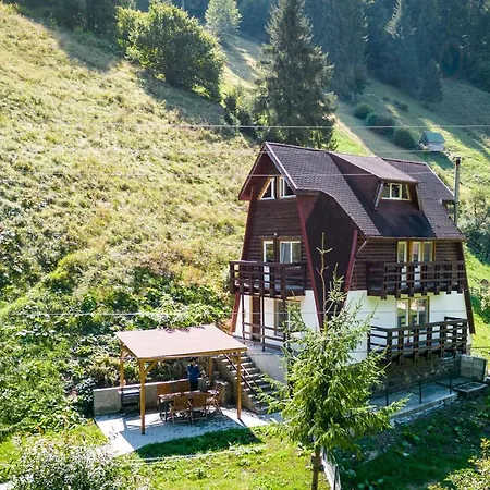 Oasis Mountain Braşov