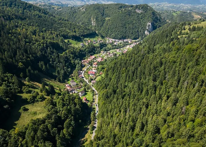 Oasis Mountain Villa Brasov