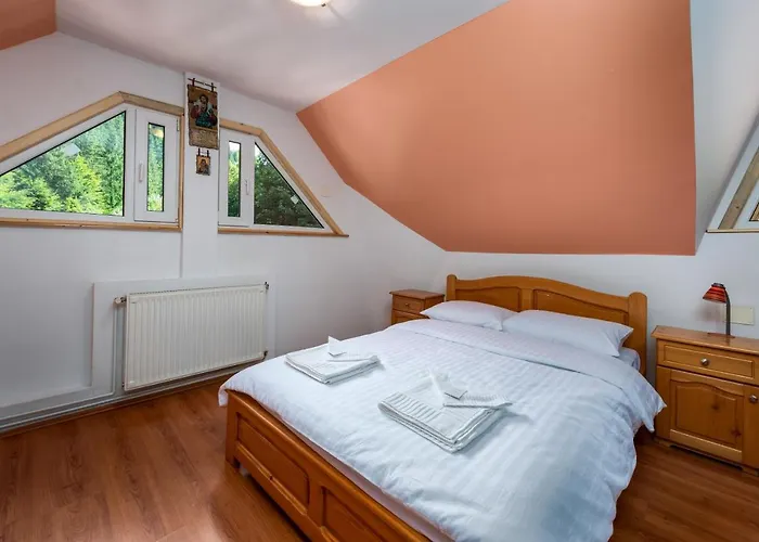 Villa Oasis Mountain Brasov