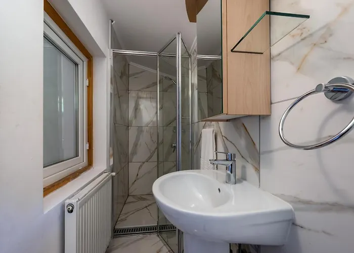 Villa Oasis Mountain Braşov