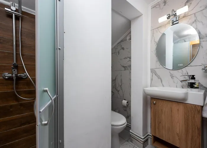 Oasis Mountain Villa Brasov