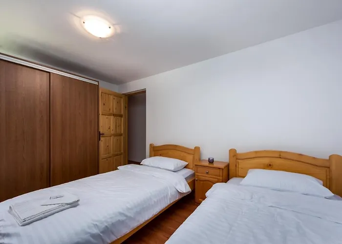 Oasis Mountain Brasov