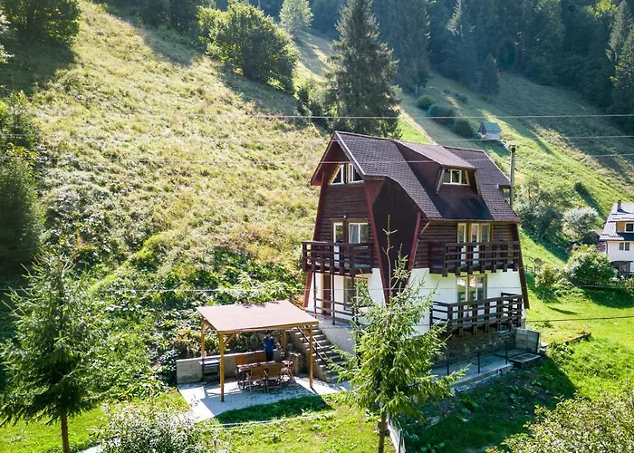 Oasis Mountain Brasov